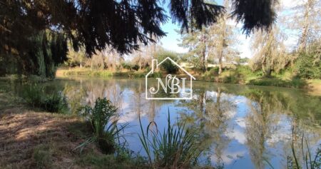 A VENDRE – ETANG – LA BAZOGE MONTPINCON