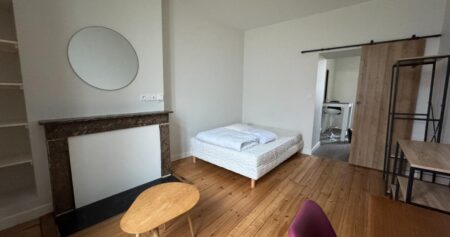 À LOUER T1 bis meublé rénové LAVAL