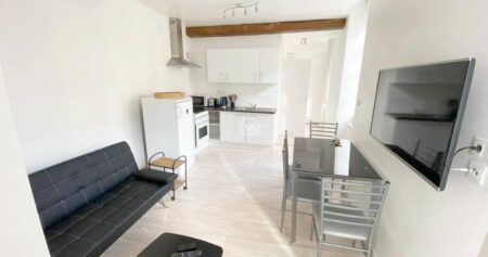 À LOUER T1bis meublé 30m2 LAVAL RIVE GAUCHE