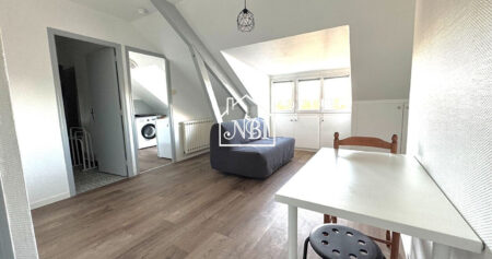 À LOUER Appartement T1 meublé 30 m2 LAVAL CENTRE