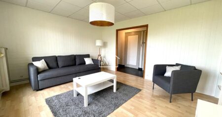 A LOUER Appartement T3 60 m2 meublé GARE LAVAL