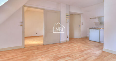 À VENDRE Appartement T1 bis 19.31 m2 LAVAL Rive droite