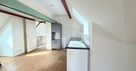 Appartement Laval 2 pièce(s) 37,28m2